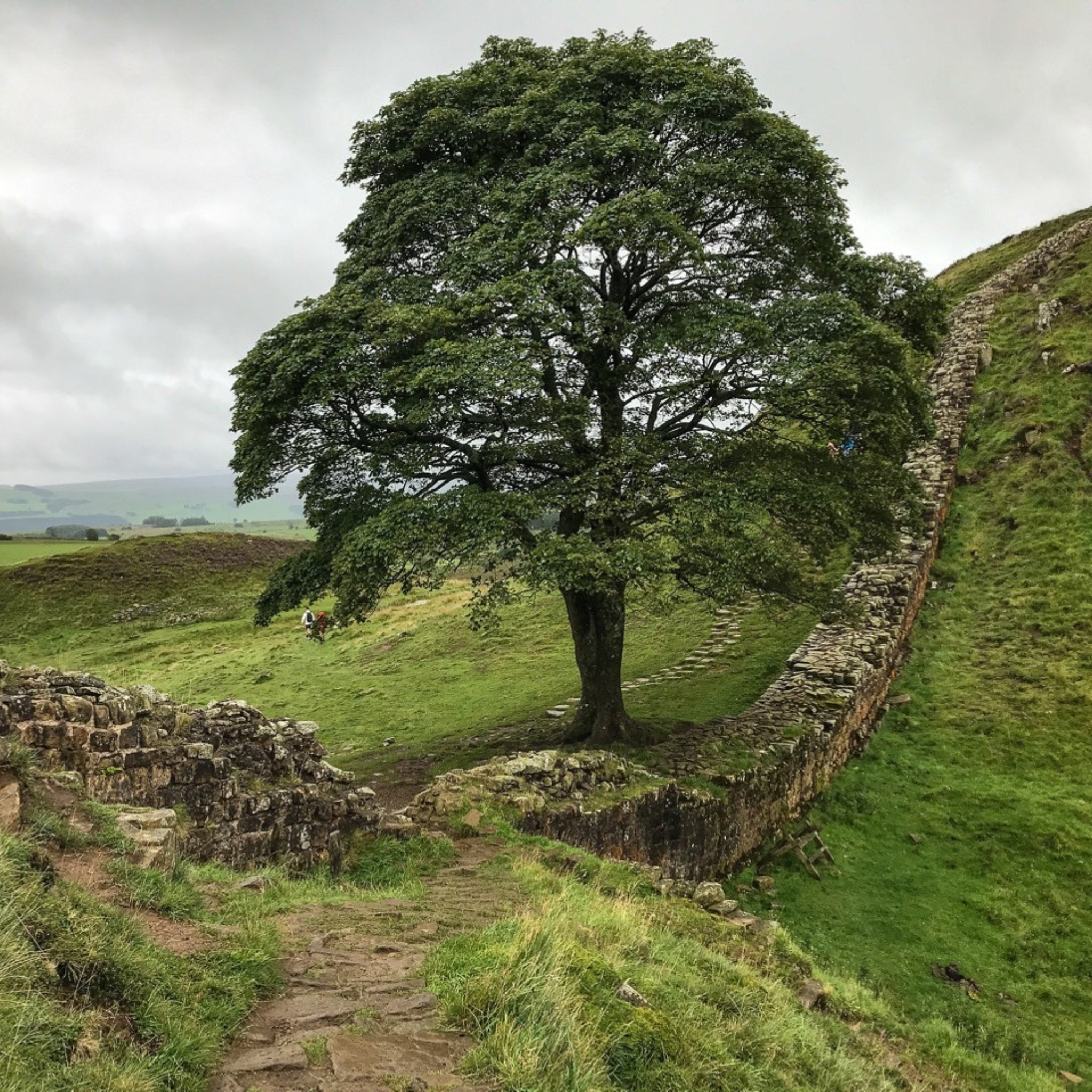 Photo of Hadrian’s Wall Path.