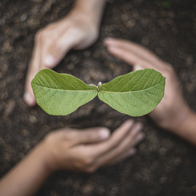 Plant and Protect