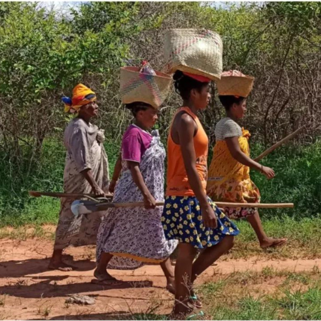 Women working to plant trees in madagascar